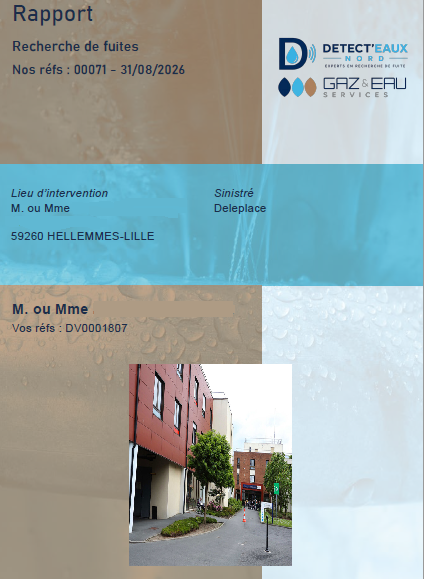 rapport detecteaux