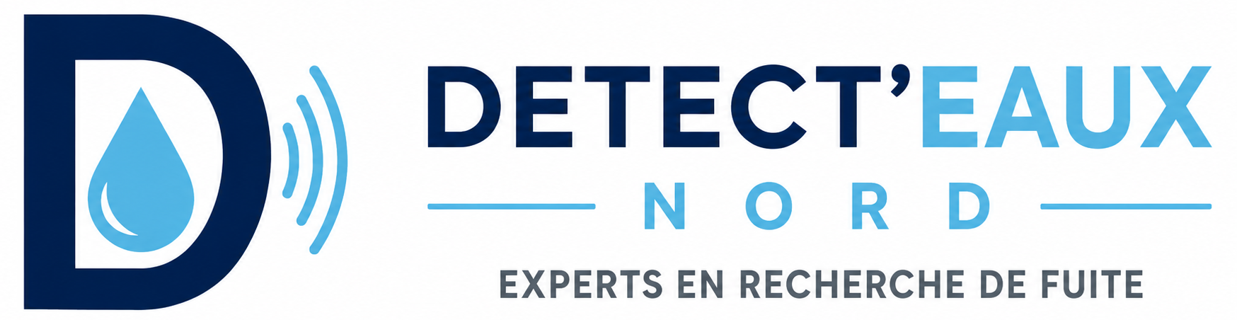 logo detecteaux